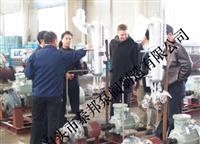 導熱油泵-高溫導熱油泵-高溫油泵